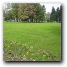 [Click to enlarge image]