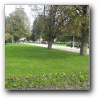 [Click to enlarge image]