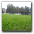 [Click to enlarge image]