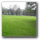 [Click to enlarge image]